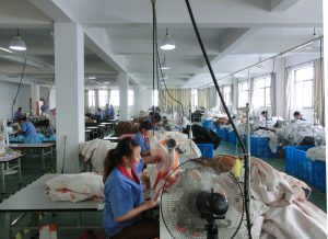 factory sewing ladies