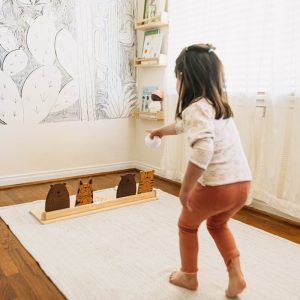 Beanbag Toss