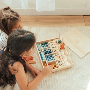 Learning Toys